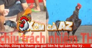 Trận 2 CPC5 31/10/2025 - Quang Vũng Tàu Ra Sân Đụng Phải Thứ Dữ Và Cái Kết