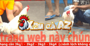 Trận 10 CPC5 31/10/2025 - Quang Vũng Tàu Gặp Thứ Dữ Bên Campuchia