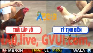 Trận 10 CPC5 21/10/2025 - Gà Điều Anh Thái Phản Ăn 2 Đưa Biện Đi Xa