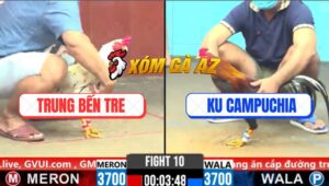 Trận 10 CPC6 29/10/2025 - Bướm Anh Trung Bị Đâm Tê Liệt Sau 1 Tay Nước