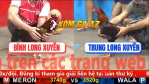 Trận 2 CPC5 28/10/2025 - Gà Điều Anh Trung Chưa Đá Đã Bung Chạy
