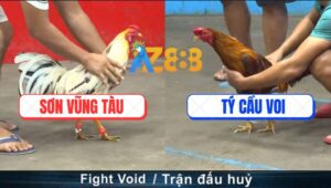 Trận 26 CPC5 22/10/2025 - Gà Khét Đá Tốc Độ Kết Liễu Gà Bướm Nhanh Gọn