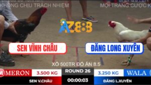 Trận 26 Ton Hon 10/10/2025 - Sen Vĩnh Châu Và Anh Đăng Giao Lưu Xổ 500