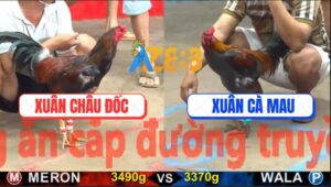 Trận 4 CPC5 21/10/2025 - Điều Siêu Mỹ Anh Xuân Đâm Như Đầu Gấu