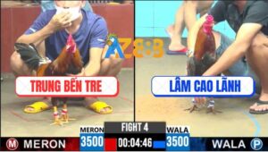 Trận 4 CPC6 15/10/2025 - Điều Vàng Anh Trung Ra Đòn Cực Hiểm