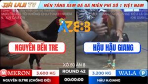 Trận 42 TonHon 18/10/2025 - Anh Bảo Sting Gom Hết Lúa Cái Xổ Cuối Ngày