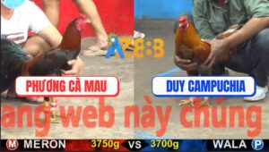 Trận 5 CPC5 23/10/2025 - Gà Khét Anh Duy CPC Nhấc Chân Là Có Kết Quả