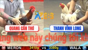 Trận 7 CPC5 17/10/2025 - Bướm Đá Ngay Ông Địa Gà Điều Gục Tại Chỗ