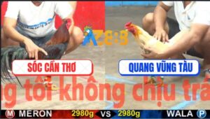 Trận 8 CPC5 23/10/2025 - Bướm Anh Quang Có Chân Xạo Lờ Cứu Chủ