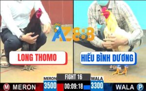 Trận 16 CPC6 06/10/2025