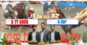 Trận 32 CPC5 20/11/2025 - Tý Chùa Bị Anh Cọp Bình Phước Gạt Giò Thành Công