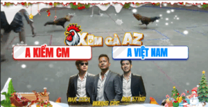 Trận 20 Bồ Hà Tiên 25/11/2025 - Thanh Niên Ngông Chấp Kiểm Cà Mau 3 Chấm Và Cái Kết