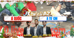 Trận 4 CPC5 26/11/2025 - Cọp Anh Tư Bị Đâm Lọt Nách Hết Phản