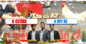 Trận 8 CPC5 26/11/2025 - Cường Bến Tre Khiến Đối Thủ Phải Cầm Luôn Chiếc Xe