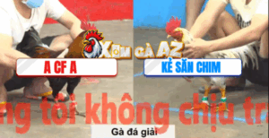 Trận 16 CPC5 6/11/2025 - Kẻ Săn Chim Vào Giải Áp Đảo Đối Thủ