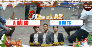 Trận 7 Bồ Hà Tiên 20/11/2025 - Anh Ba Trà Cú Khởi Đầu Không Thuận Lợi