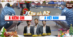 Trận 14 Bồ Hà Tiên 20/11/2025 - Kiểm Cà Mau Nài Gà Chuyển Bại Thành Thắng Đẳng Cấp