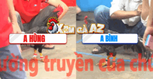 Trận 9 CPC5 7/11/2025 - Cú Cọp Của Anh Bình Đá Cây Nách Hạ Đối Thủ