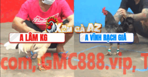 Trận 19 CPC5 7/11/2025 - Xám Hiệu Quá Hay Nhưng Bướm Chồng Độ Hay Hơn