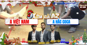 Trận 10 Bồ Tonhon 21/11/2025 - Hắc Coca Làm Mưa Làm Gió Ở Những Trận Nhỏ