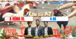 Trận 9 CPC5 29/11/2025 - Gà Anh Hùng Phóng Bạc Buông Ra Bị Đá Cho Xòe Đuôi