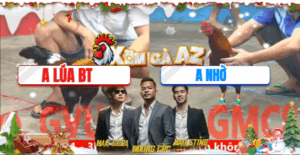 Trận 17 CPC5 29/11/2025 - Lúa Bến Tre Gặp Cọp Đâm Lọt Ngực Té Tuyệt Đối