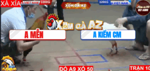 Trận 10 Bồ Hà Tiên 9/11/2025 - Anh Mễn Ôm Hàng Tuyển Ra Gặp Anh Kiểm