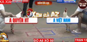 Trận 13 Bồ Hà Tiên 9/11/2025 - Anh Quyền Hà Tiên Phản Kèo Không Thành Công