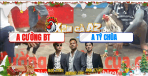 Trận 18 CPC5 23/11/2025 - Tý Chùa Gặp Cọp Đâm Như Chĩa Và Cái Kết