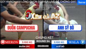 Trận 54 Ton Hon 2/11/2025 - Chung Kết: Anh Đuôn Campuchia Và Anh Sỹ Bò