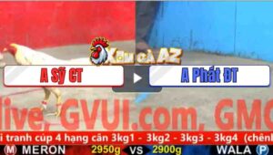 Trận 11 CPC5 4/11/2025