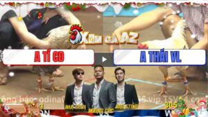 Trận 15 CPC4 22112025