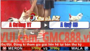 Trận 17 CPC5 4/11/2025