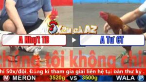 Trận 29 CPC5 5/11/2025