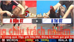 Trận 9 CPC5 1/11/2025