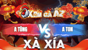 Trận 17 Bồ Xà Xía 31/12/2025 - Anh Tùng Đưa Anh Ton Ra Đảo
