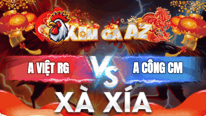 Trận 18 Bồ Xà Xía 31/12/2025 - Công Cà Mau Nhẹ Ký Hơn Vẫn Lụm Anh Việt