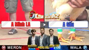 Trận 21 CPC3 28/12/2025