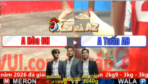 Trận 4 CPC5 29/12/2025