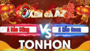 Trận 6 Tonhon 31/12/2025