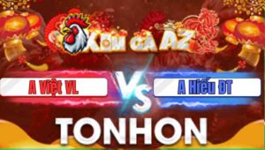 Trận 20 Tonhon 31/12/2025