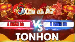 Trận 23 Tonhon 31/12/2025