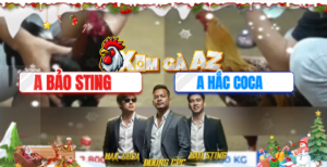 Trận 14 Bồ Tonhon 12/10/2025 - Bảo Sting Tái Đấu Với Hắc Coca Sau 10 Ngày Chưa Gặp