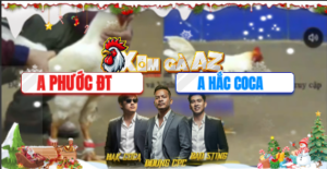 Trận 17 Bồ Tonhon 10/12/2025 - Phước Đồng Tháp Gạt Giò Thành Công Hắc Coca