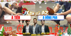 Trận 28 Bồ CPC5 23/12/2025 - Đông Pha Ở Phút 90 Bỏ Chạy Khiến Anh Em Tiếc Nuối