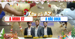 Trận 20 Bồ Tonhon 10/12/2025 - Bông Cọp Hắc Coca Nạp 1 Chân Gãy Giò Minh Ly