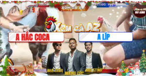 Trận 2 Bồ Tonhon 24/12/2025 - Hắc Coca Trận Đầu Gom Sạch Bồ Tonhon Và Cái Kết