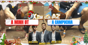 Trận 18 CPC4 2/12/2025 - Trận Đấu Trạng Gà Nặng Nhất Hôm Nay Tại CPC4