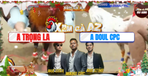 Trận 5 Bồ Tonhon 12/12/2025 - Doul Campuchia Đưa Lính Ra Thả Và Cái Kết