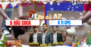 Trận 14 Bồ Dinh Bà 27/12/2025 - Hắc Coca Đưa Điều Cọp Vào Gặp Thứ Dữ